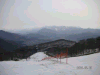 s_pict0096_thumb.png